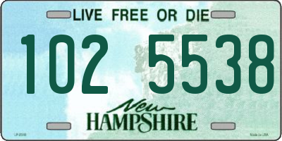 NH license plate 1025538