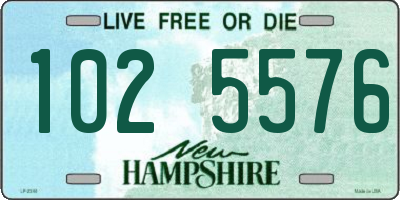 NH license plate 1025576