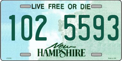 NH license plate 1025593