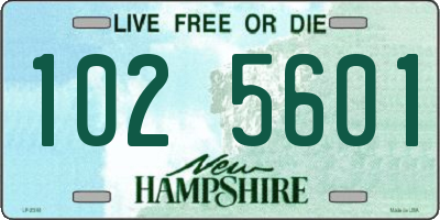 NH license plate 1025601