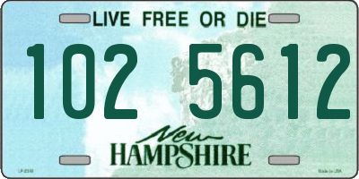 NH license plate 1025612