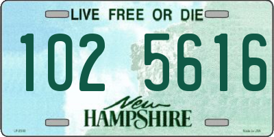 NH license plate 1025616