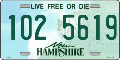 NH license plate 1025619