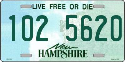 NH license plate 1025620