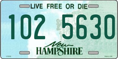 NH license plate 1025630