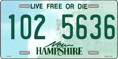 NH license plate 1025636