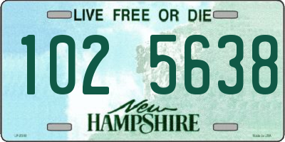 NH license plate 1025638