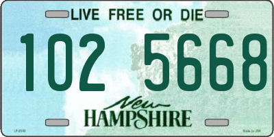 NH license plate 1025668