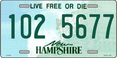 NH license plate 1025677