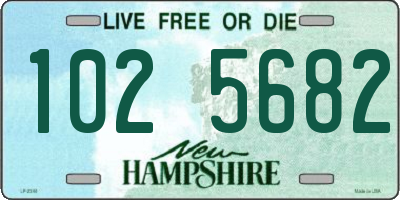 NH license plate 1025682