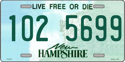 NH license plate 1025699