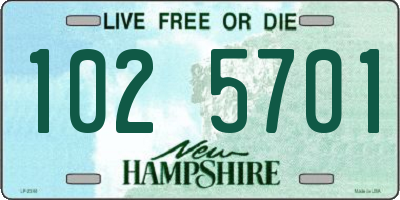 NH license plate 1025701