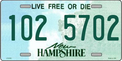 NH license plate 1025702