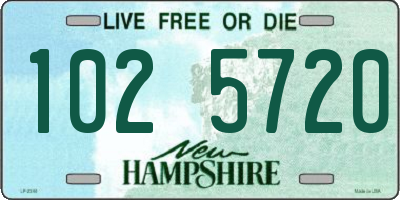 NH license plate 1025720