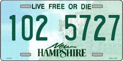NH license plate 1025727
