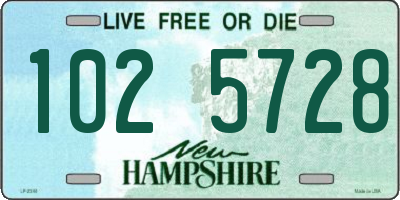 NH license plate 1025728