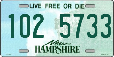 NH license plate 1025733
