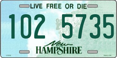 NH license plate 1025735