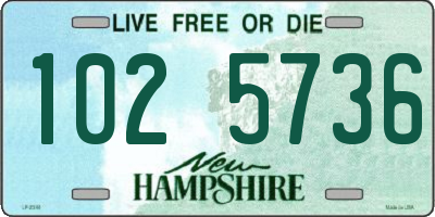 NH license plate 1025736