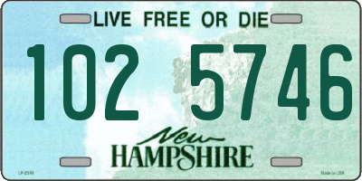 NH license plate 1025746