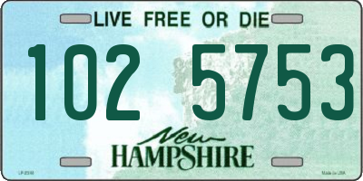 NH license plate 1025753