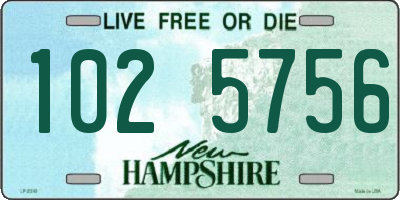 NH license plate 1025756