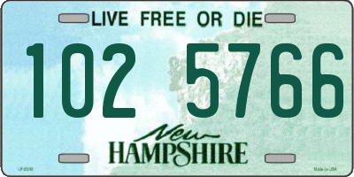 NH license plate 1025766