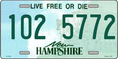 NH license plate 1025772
