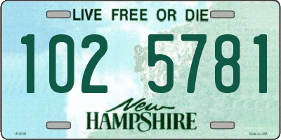 NH license plate 1025781