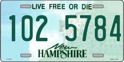 NH license plate 1025784