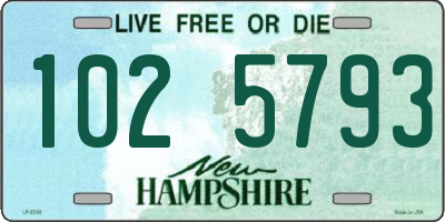 NH license plate 1025793