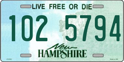NH license plate 1025794