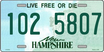 NH license plate 1025807