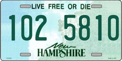 NH license plate 1025810