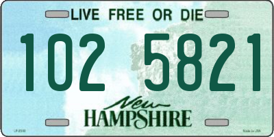 NH license plate 1025821