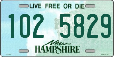 NH license plate 1025829