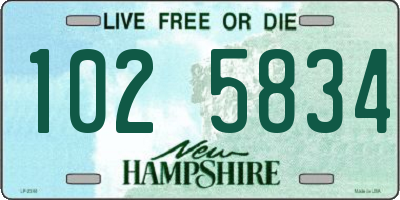 NH license plate 1025834