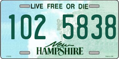 NH license plate 1025838
