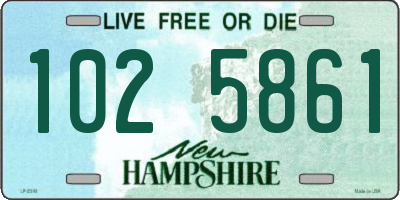 NH license plate 1025861