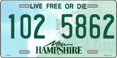 NH license plate 1025862