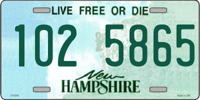 NH license plate 1025865