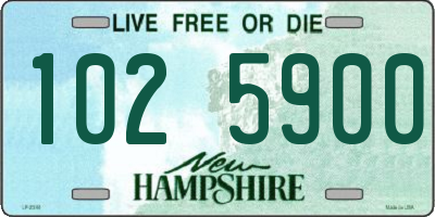 NH license plate 1025900