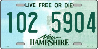 NH license plate 1025904