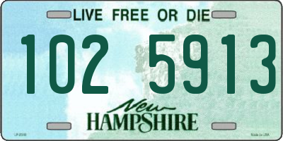 NH license plate 1025913