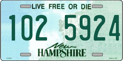 NH license plate 1025924