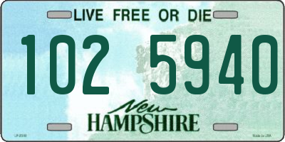 NH license plate 1025940