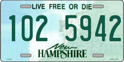 NH license plate 1025942