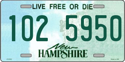 NH license plate 1025950