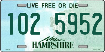 NH license plate 1025952