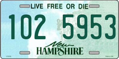 NH license plate 1025953